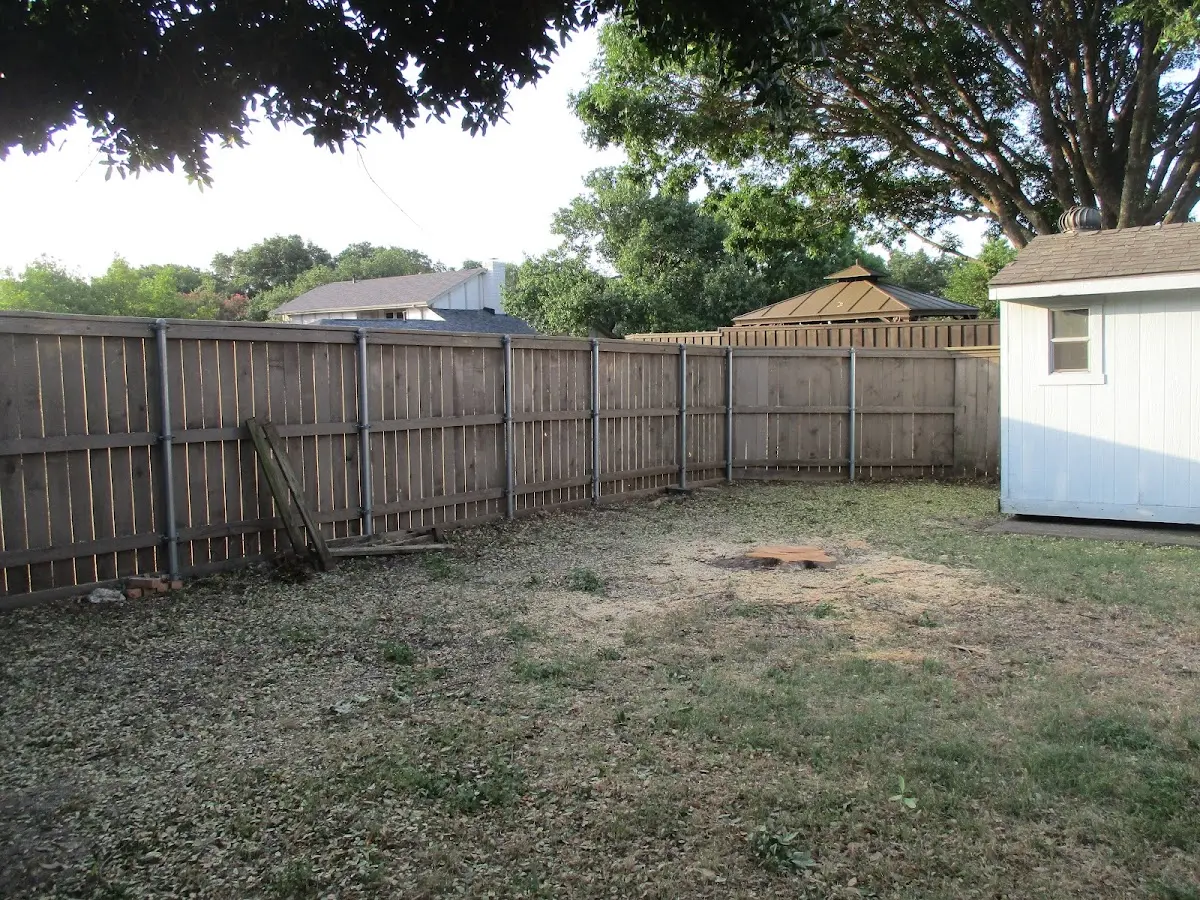 Cleared yard after professional tree removal in New Washington
